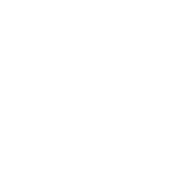 Isotipo de Fundación Brubella